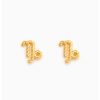 Pendientes amaloa | Pendientes Horoscopo Capricornio